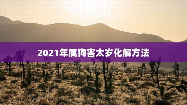 2021年属狗害太岁化解方法