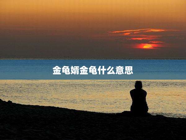 金龟婿金龟什么意思