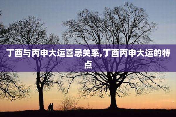 丁酉与丙申大运喜忌关系,丁酉丙申大运的特点