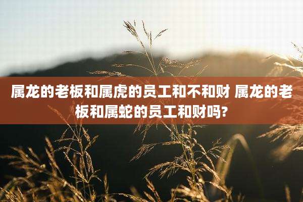 属龙的老板和属虎的员工和不和财 属龙的老板和属蛇的员工和财吗?