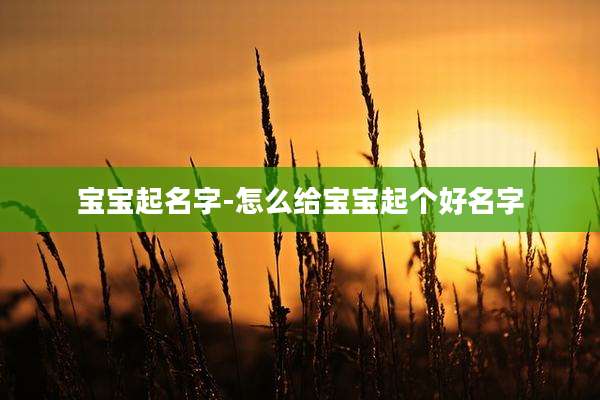 宝宝起名字-怎么给宝宝起个好名字
