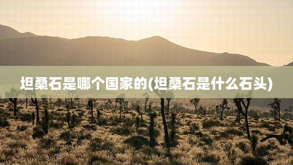 坦桑石是哪个国家的(坦桑石是什么石头)