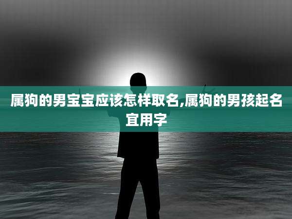 属狗的男宝宝应该怎样取名,属狗的男孩起名宜用字