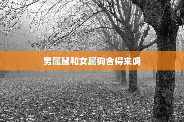 男属鼠和女属狗合得来吗