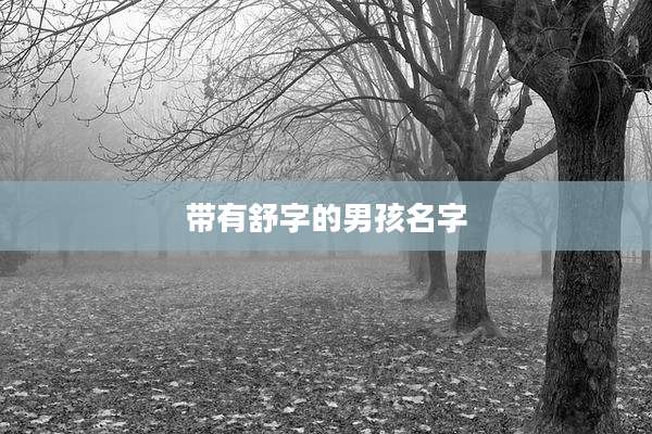 带有舒字的男孩名字