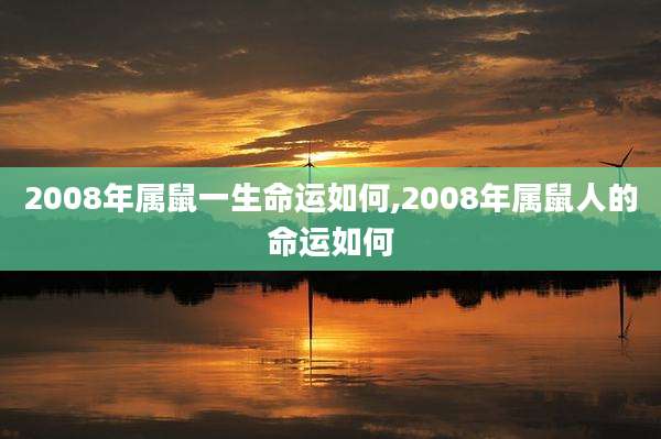 2008年属鼠一生命运如何,2008年属鼠人的命运如何
