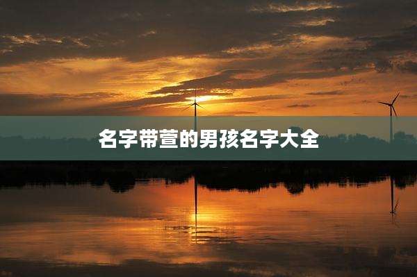名字带萱的男孩名字大全