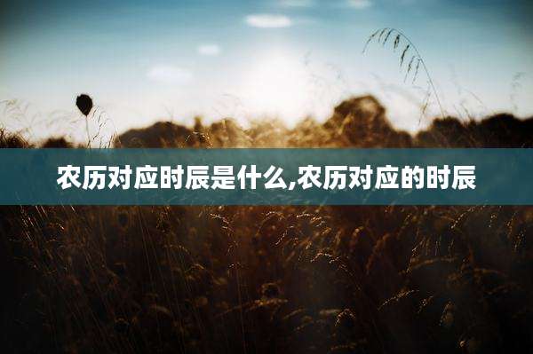 农历对应时辰是什么,农历对应的时辰
