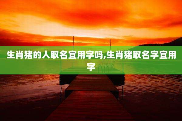 生肖猪的人取名宜用字吗,生肖猪取名字宜用字