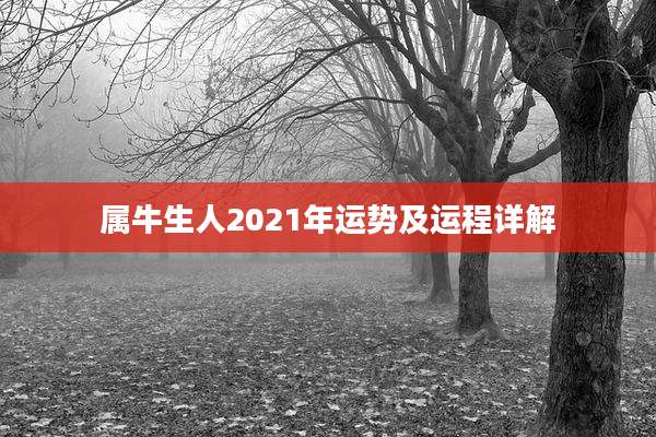 属牛生人2021年运势及运程详解
