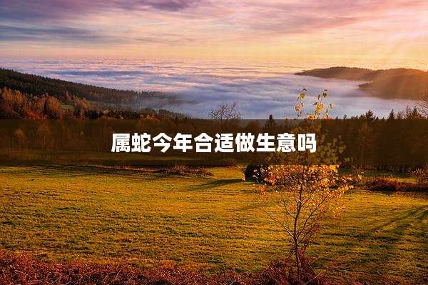 属蛇今年合适做生意吗