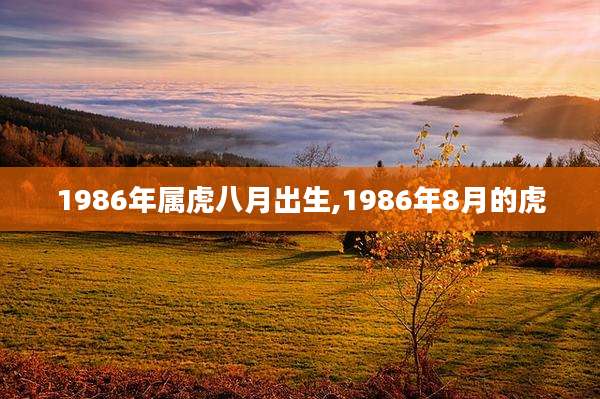 1986年属虎八月出生,1986年8月的虎