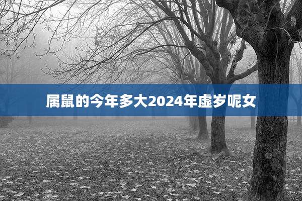 属鼠的今年多大2024年虚岁呢女