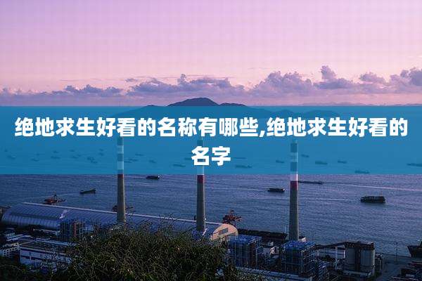 绝地求生好看的名称有哪些,绝地求生好看的名字