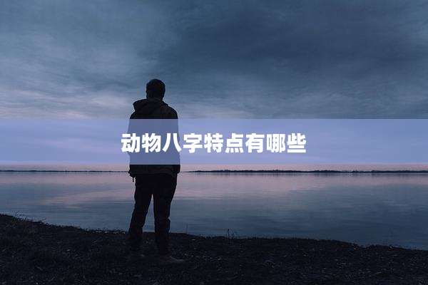动物八字特点有哪些