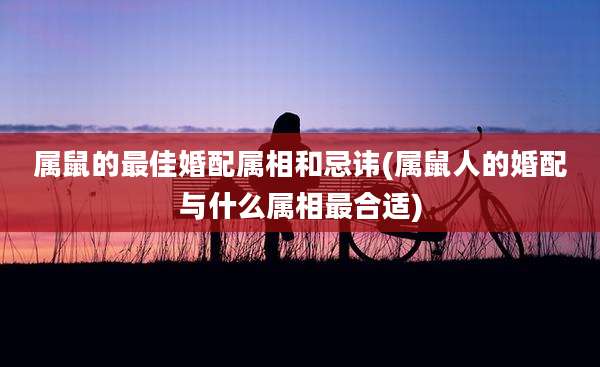 属鼠的最佳婚配属相和忌讳(属鼠人的婚配与什么属相最合适)