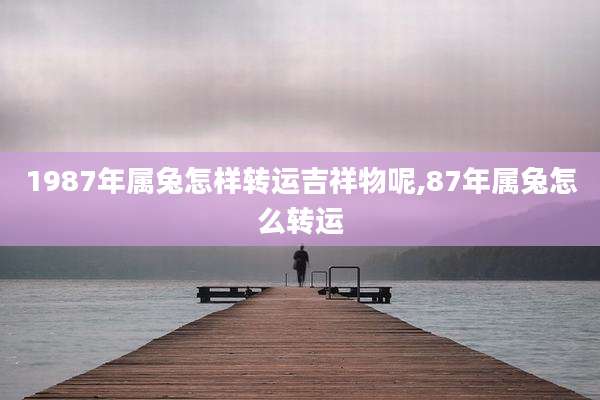 1987年属兔怎样转运吉祥物呢,87年属兔怎么转运