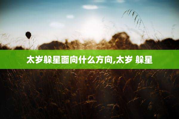 太岁躲星面向什么方向,太岁 躲星