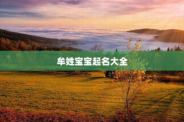 牟姓宝宝起名大全