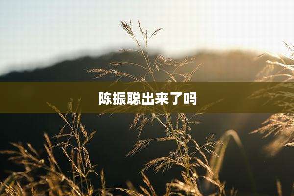 陈振聪出来了吗