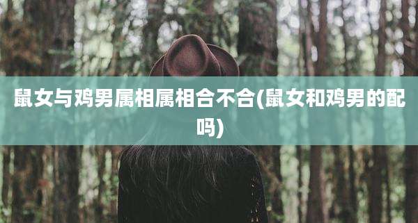 鼠女与鸡男属相属相合不合(鼠女和鸡男的配吗)