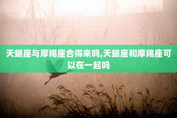 天蝎座与摩羯座合得来吗,天蝎座和摩羯座可以在一起吗