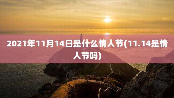 2021年11月14日是什么情人节(11.14是情人节吗)
