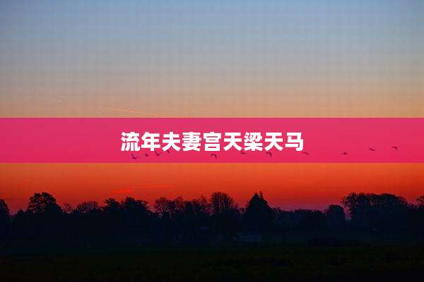 流年夫妻宫天梁天马