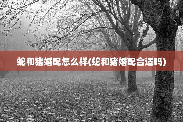 蛇和猪婚配怎么样(蛇和猪婚配合适吗)