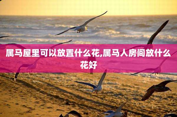 属马屋里可以放置什么花,属马人房间放什么花好