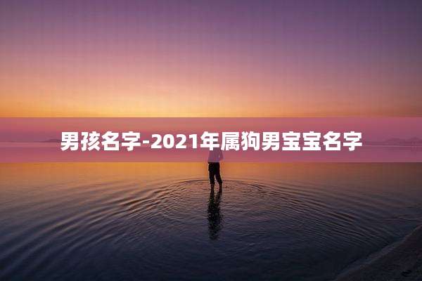 男孩名字-2021年属狗男宝宝名字