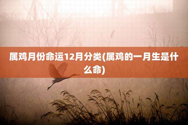 属鸡月份命运12月分类(属鸡的一月生是什么命)