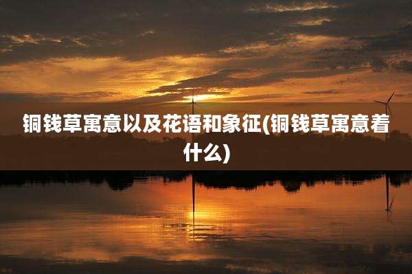 铜钱草寓意以及花语和象征(铜钱草寓意着什么)
