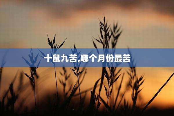 十鼠九苦,哪个月份最苦