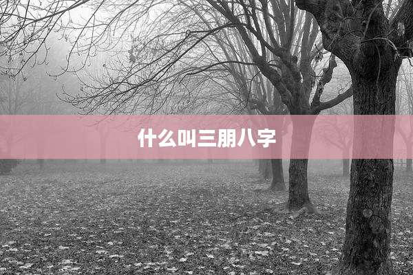 什么叫三朋八字