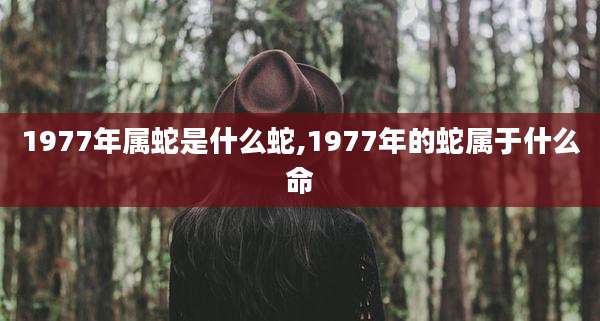 1977年属蛇是什么蛇,1977年的蛇属于什么命