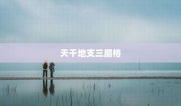 天干地支三朋格