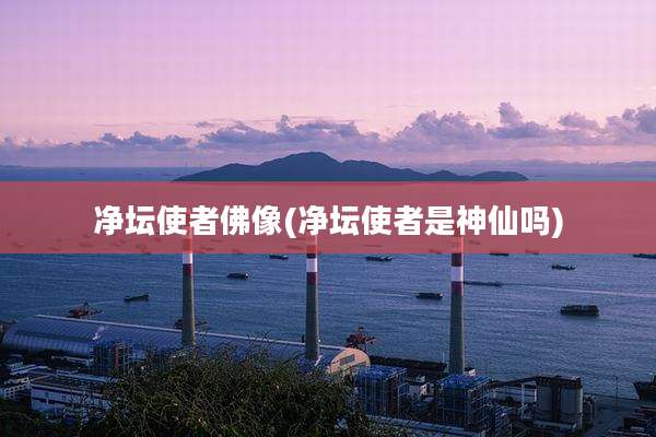 净坛使者佛像(净坛使者是神仙吗)