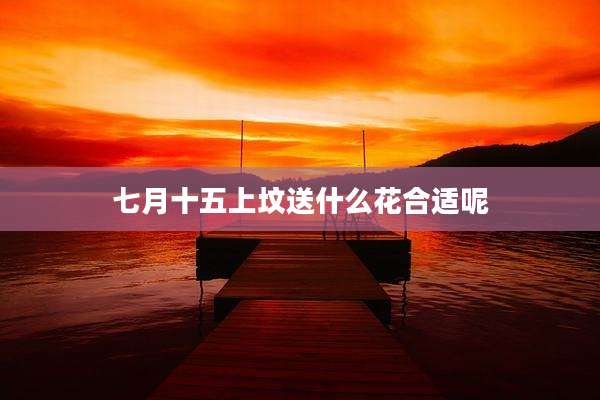 七月十五上坟送什么花合适呢