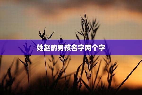 姓赵的男孩名字两个字