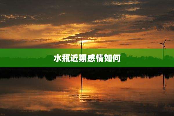 水瓶近期感情如何