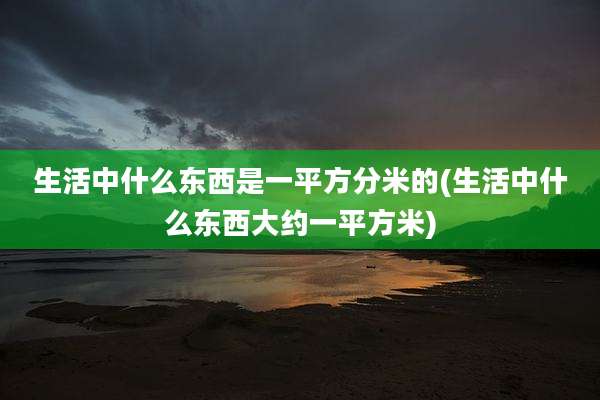生活中什么东西是一平方分米的(生活中什么东西大约一平方米)
