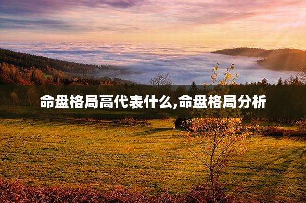 命盘格局高代表什么,命盘格局分析