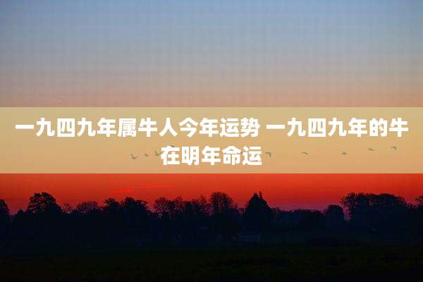 一九四九年属牛人今年运势 一九四九年的牛在明年命运