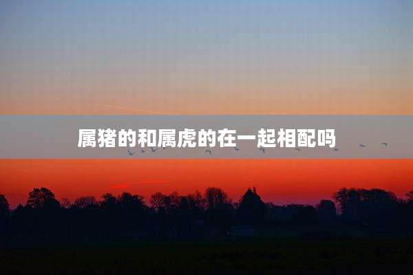 属猪的和属虎的在一起相配吗