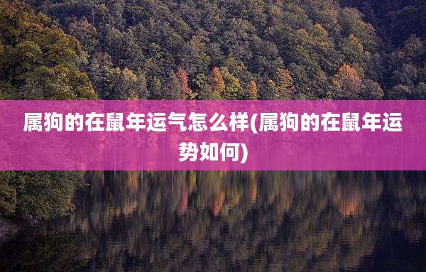 属狗的在鼠年运气怎么样(属狗的在鼠年运势如何)