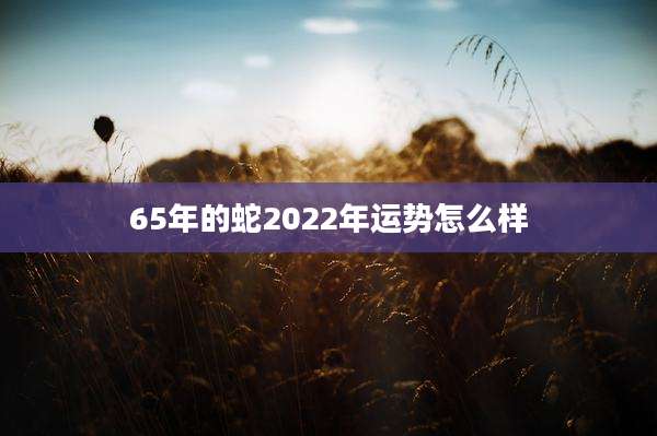 65年的蛇2022年运势怎么样