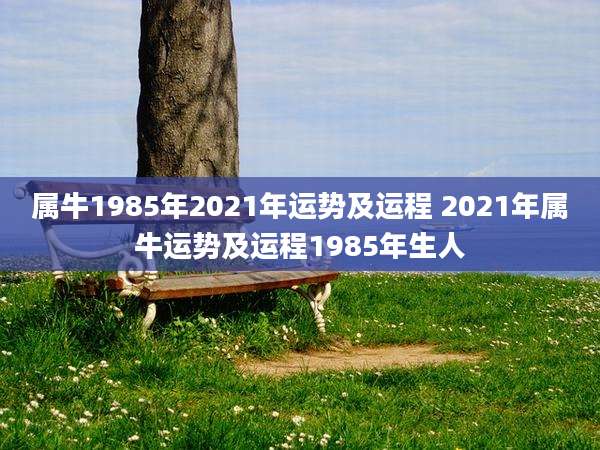 属牛1985年2021年运势及运程 2021年属牛运势及运程1985年生人