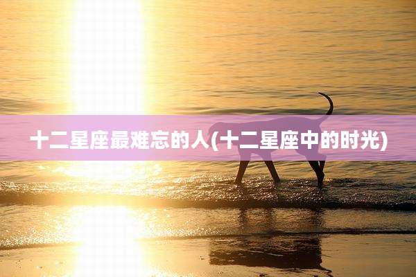 十二星座最难忘的人(十二星座中的时光)