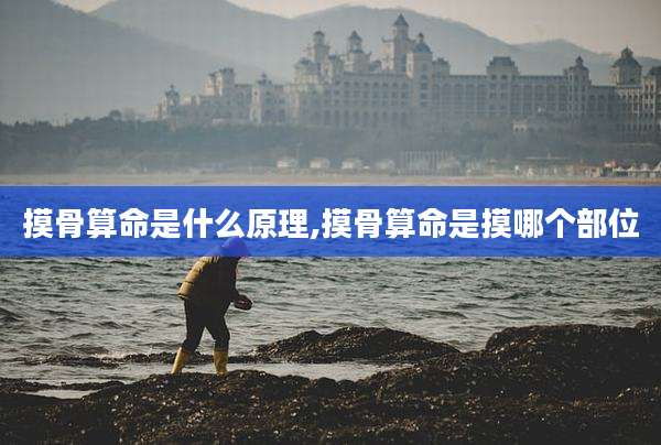 摸骨算命是什么原理,摸骨算命是摸哪个部位